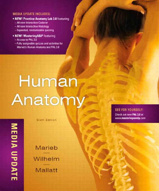 Human Anatomy 6th ed - Elaine N. Marieb.jpg