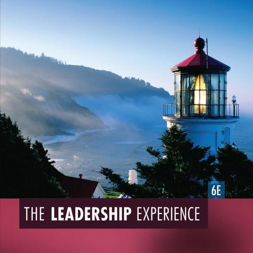 The Leadership Experience