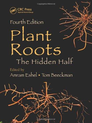 Plant Roots The Hidden Half, Fourth Edition
