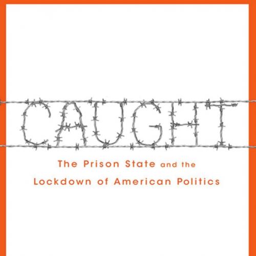 Caught The Prison State and the Lockdown of American Politics