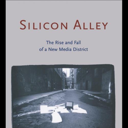 Silicon Alley_ The Rice and fall of a New Media District
