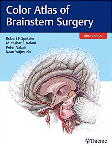 Color Atlas of Brainstem Surgery (PDF)