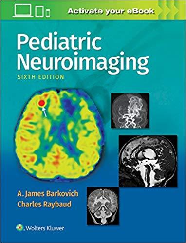 Pediatric Neuroimaging, 6e+EPUB版