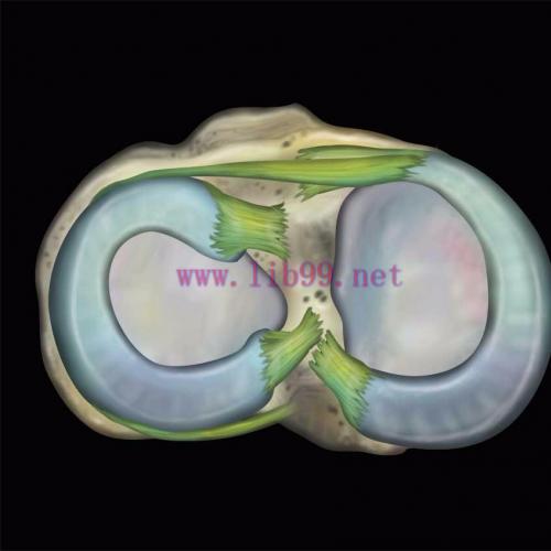 [AME]MRIOnline MRI Mastery Series: Knee 2021 (CME VIDEOS) 