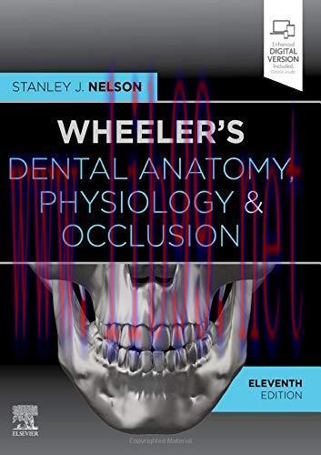 [AME]Wheeler's Dental Anatomy, Physiology and Occlusion, 11th Edition (EPUB) 