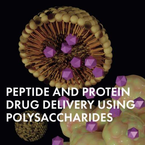 Peptide and Protein Drug Delivery Using Polysaccharides 1st Edition