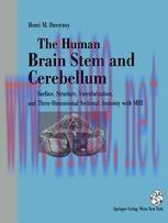 [PDF]The Human Brain Stem and Cerebellum: Surface, Structure, Vascularization, and Three-Dimensional Sectional Anatomy, with MRI