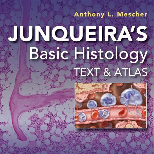 Junqueira’s Basic Histology Text and Atlas, Seventeenth Edition 17th Edition