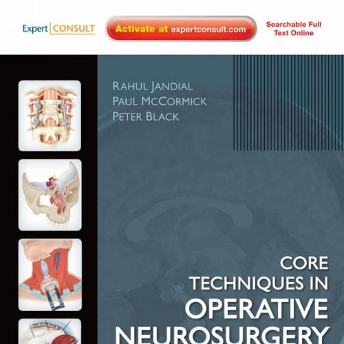 Core Techniques in Operative Neurosurgery V.1