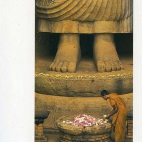 Foundations of Buddhism, The