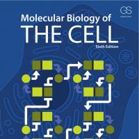 Molecular Biology of the Cell 6ed
