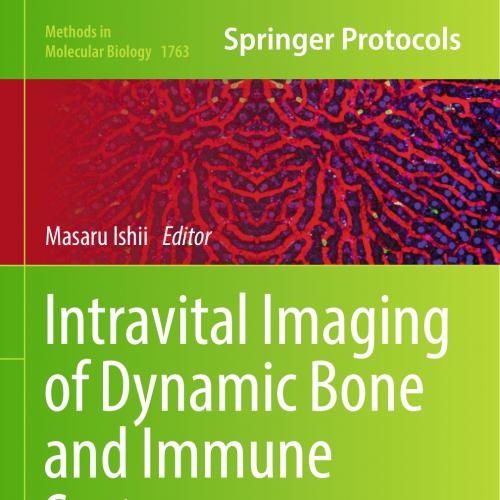 Intravital Imaging of Dynamic Bone and Immune Systems